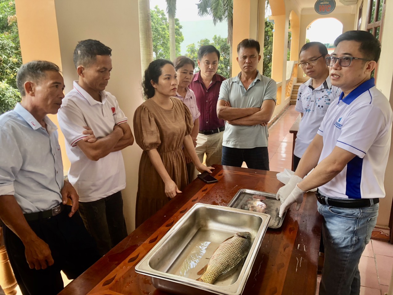 TT Khuyến nông: Tập huấn Kỹ thuật nuôi cá nước ngọt theo tiêu chuẩn VietGAP